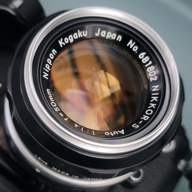 NIKON FE2 필름카메라 해바라기 NIKKOR-S 50mm f1.4 MOTOR MD-12 이미지