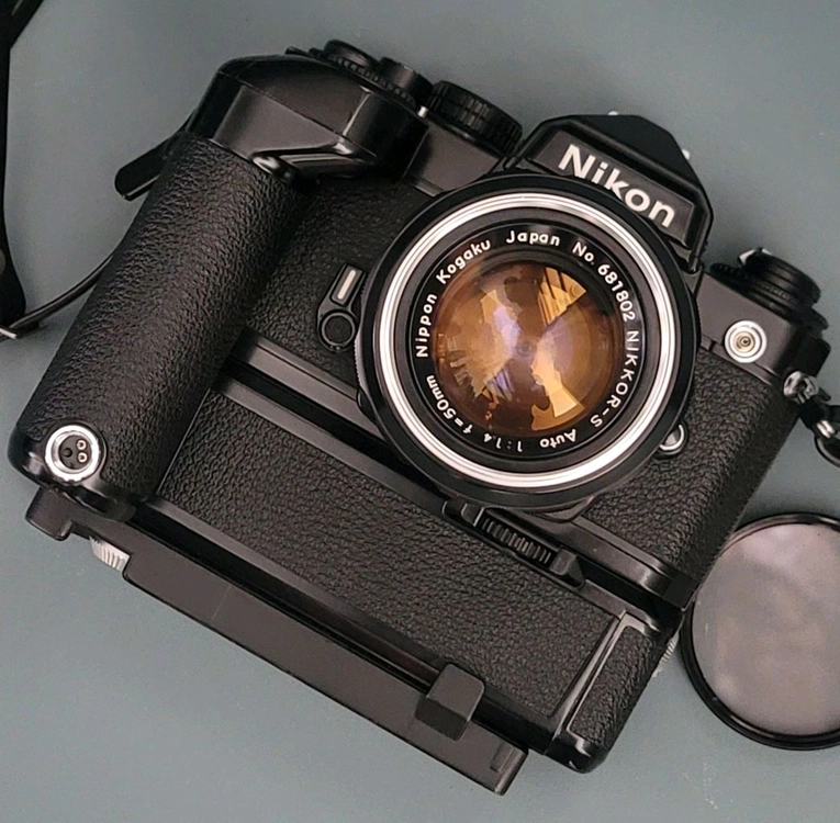NIKON FE2 필름카메라 해바라기 NIKKOR-S 50mm f1.4 MOTOR MD-12 이미지