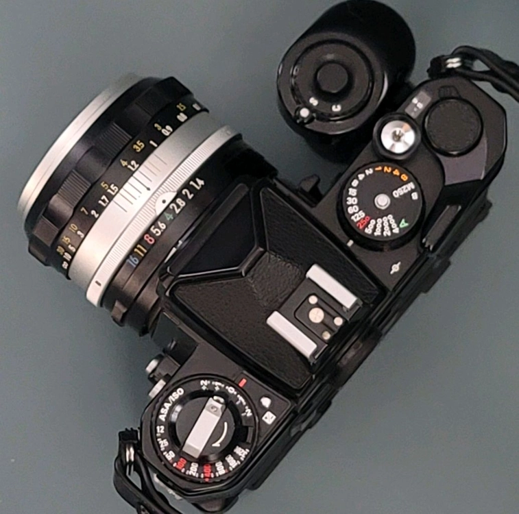 NIKON FE2 필름카메라 해바라기 NIKKOR-S 50mm f1.4 MOTOR MD-12 이미지