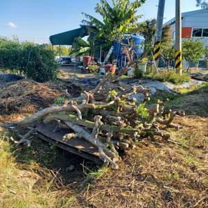 나무 가지 분쇄용품