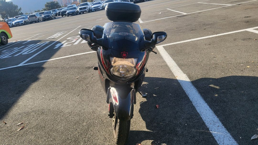 혼다 CBR1100XX 블랙버드--5