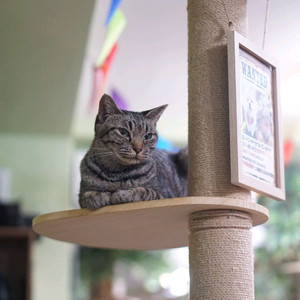 4060 노트북 삽니다 가격제시해주세요