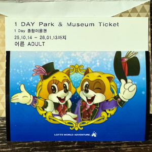 롯데월드 자유이용권 (1 Day Park & Museum Ticket 2매)