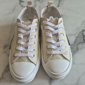 디올 오블리크 B23 스니커즈 36