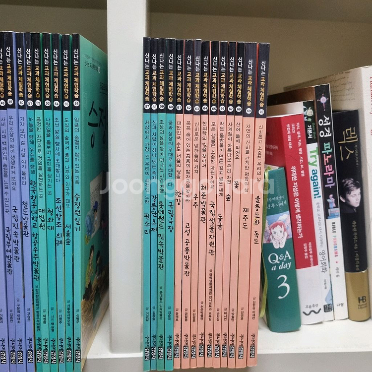 주니어김영사 신나는 교과 체험학습(최신판)--1