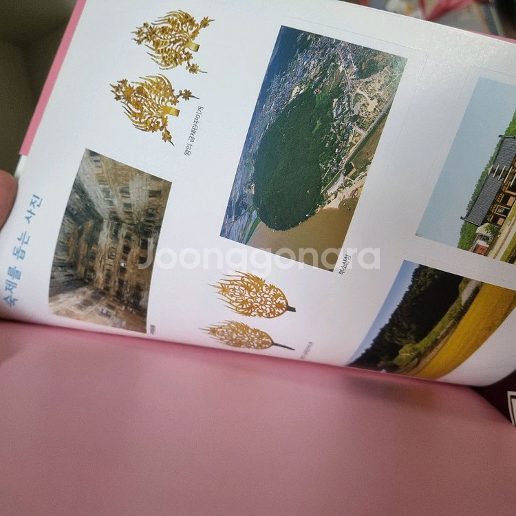 주니어김영사 신나는 교과 체험학습(최신판)--2