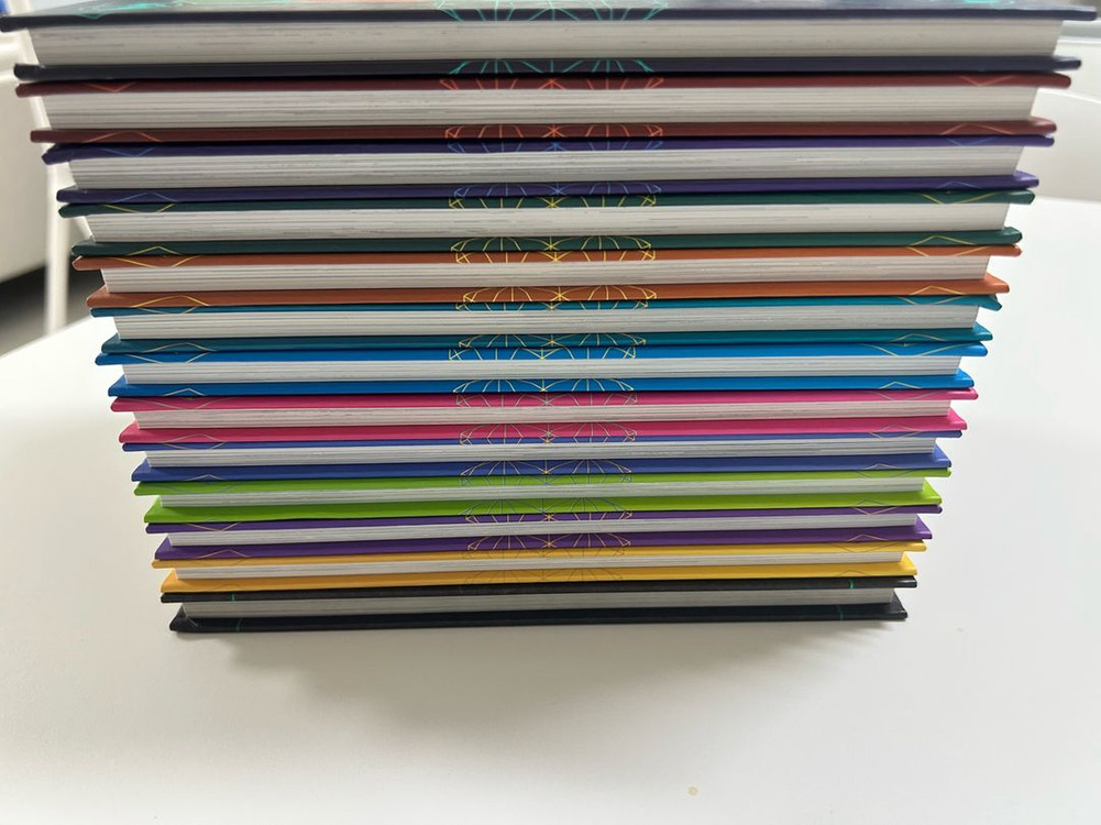 드래곤 마스터 1-12권 + 공식 가이드북 1권--2