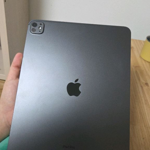 아이패드프로M4 13인치 256기가 셀룰러wifi 스페이스블랙