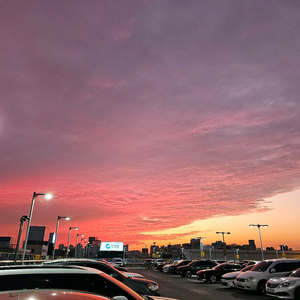 폰게임 부계 생성 5000삽니다