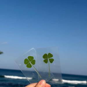 강릉 강문해변 행운상점 네잎클로버