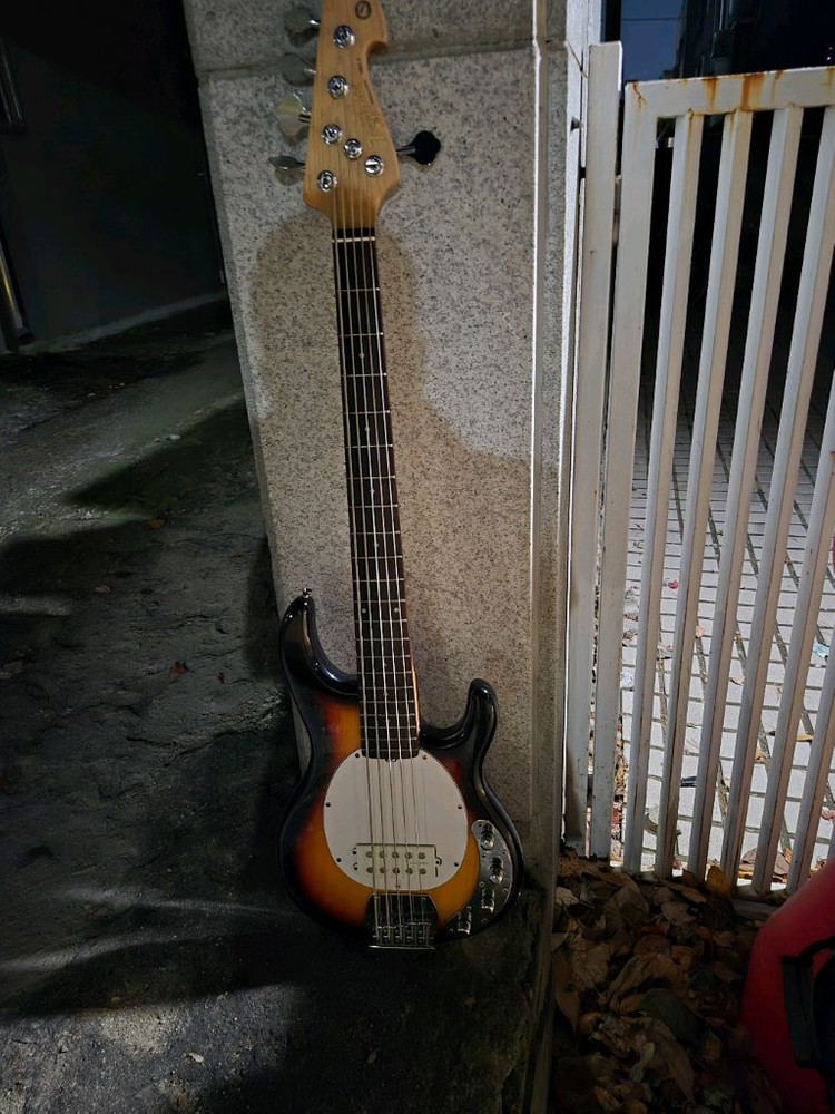 Tagima tbm5 5현 베이스기타팝니다.--3