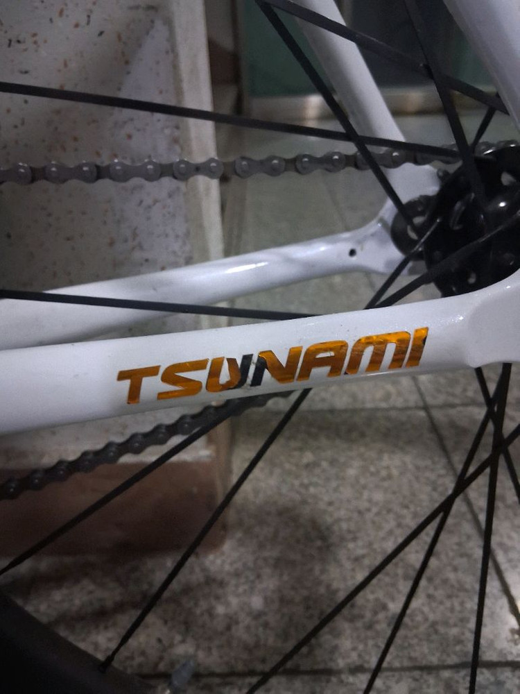 금장 쓰나미 픽시 자전거--1