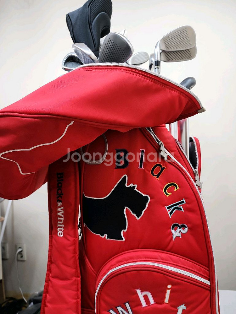 30만 테일러메이드 아이언 등 여성용 중고골프채 풀세트--0