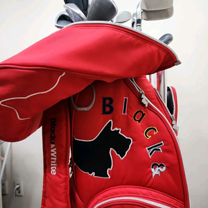 30만 테일러메이드 아이언 등 여성용 중고골프채 풀세트