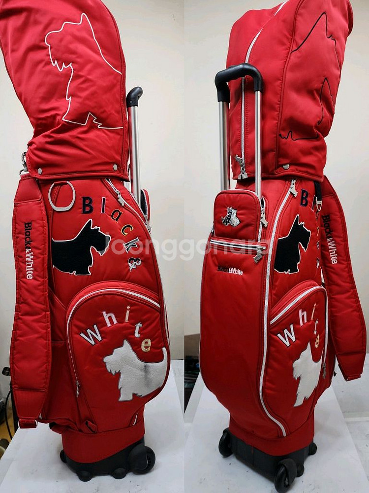 30만 테일러메이드 아이언 등 여성용 중고골프채 풀세트--1