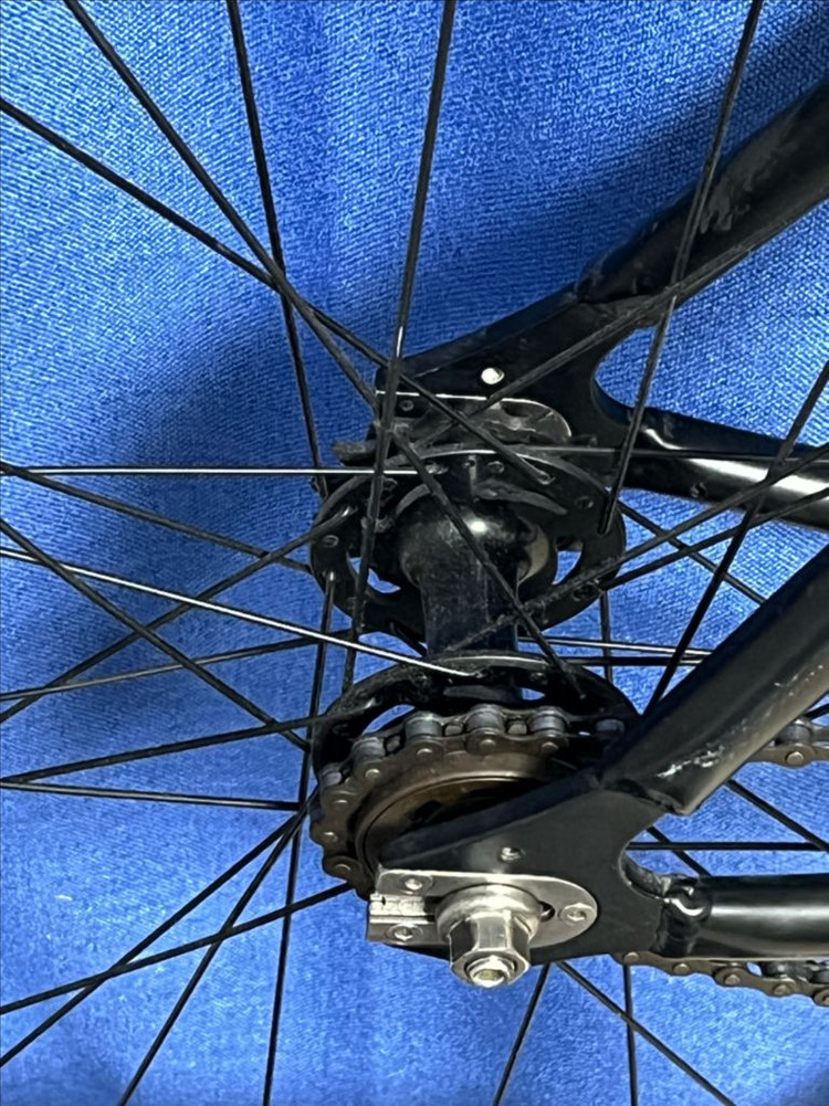 리더 픽시 로드자전거 이미지