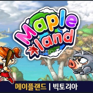 메이플랜드 월드코인 팝니다