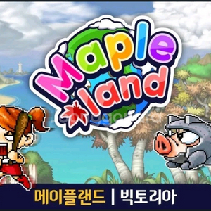 메이플랜드 월드코인 팝니다
