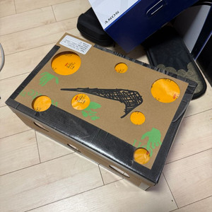 나이키 오프화이트 덩크 lot46 (280)