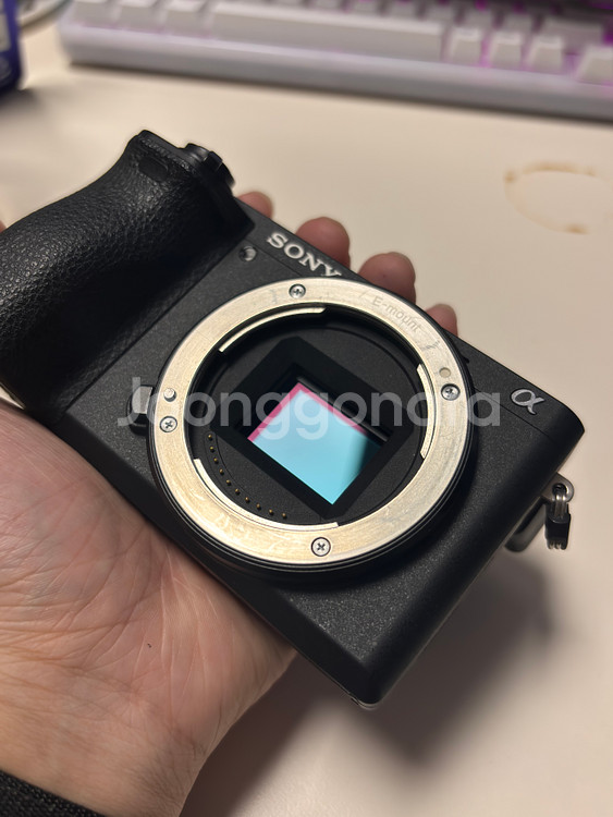 소니 A6500 + 소니 18-105 F4 + ULANZI 28MM F2.8--0