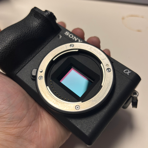 소니 A6500 + 소니 18-105 F4 + ULANZI 28MM F2.8