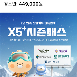 스키장 시즌권 X5+ 3차