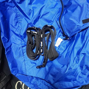 로드러너 쿠거 L5000 루프백