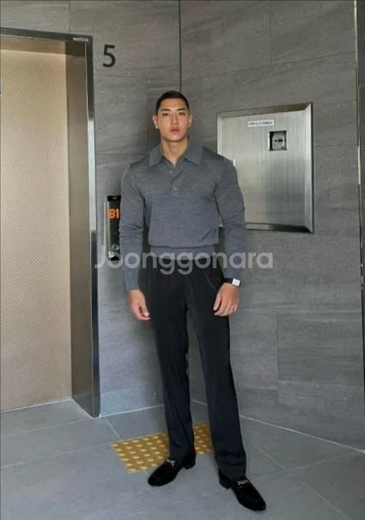 볼란테 VOLANTE 남성 울 카라니트 그레이--0