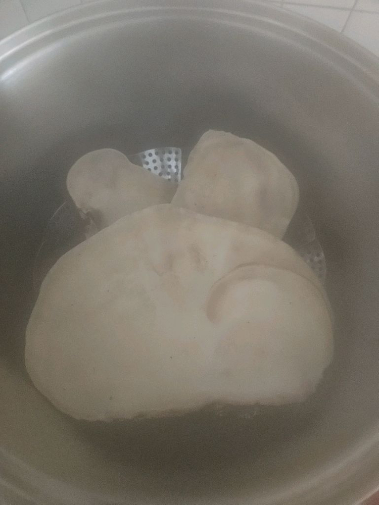 소나무잔나비버섯 팝니다 이미지