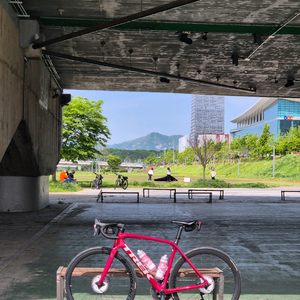 2021 트렉 에몬다 slr7 54사이즈 로드자전거