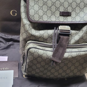 구찌 GG 캔버스 슈프림백팩 246103