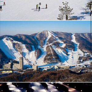 휘닉스파크 25/26 시즌 리프트권 팝니다