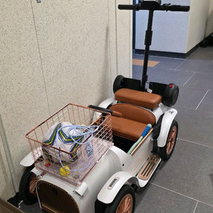 디트로네 S 화이트 24년 10월식