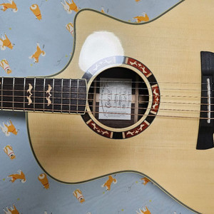 크래프터기타 가디너스