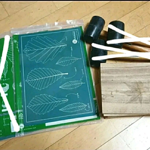 나뭇잎 탁본 뜨기 세트 홀씨 숲체험 교구 망치 고무판 나무판자 어린이 아동 자연체험학습 홈스쿨링