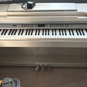 영창 디지털 전자피아노