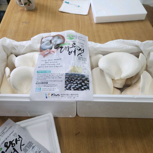 대왕버섯 1kg 이미지