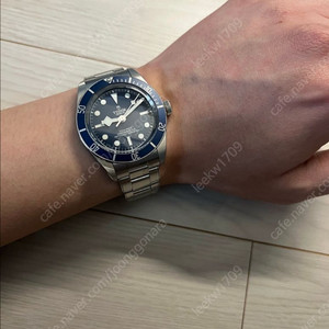 튜더 블랙베이58 청판 판매