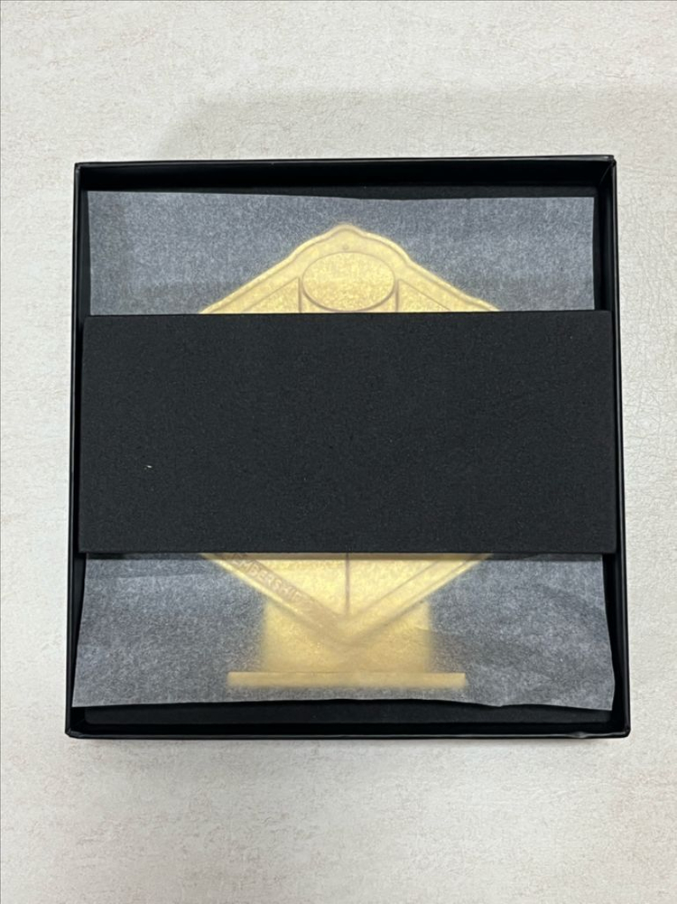 레고 VIP 골드 트로피 21년 하반기--1