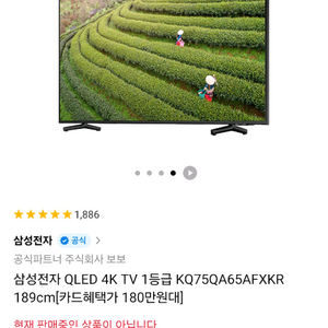 75인치 삼성 TV