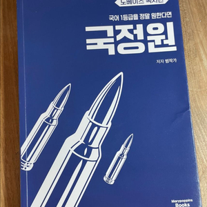 범작가 국정원 독서 노베이스편