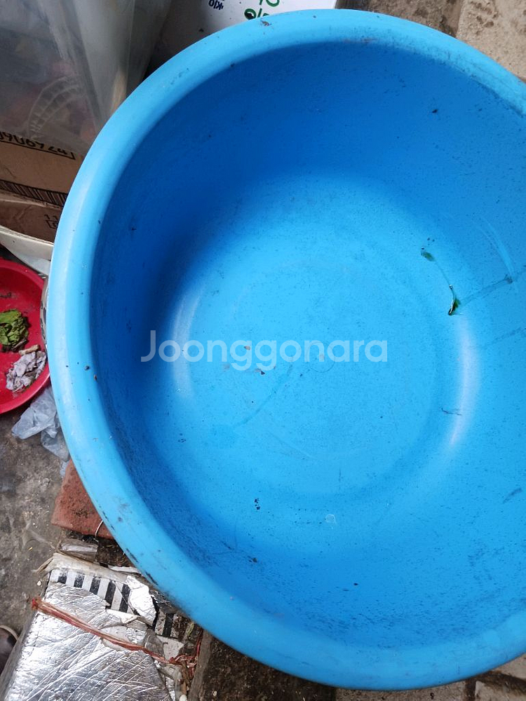 55*21 플라스틱 다라이--0