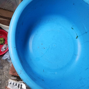 55*21 플라스틱 다라이