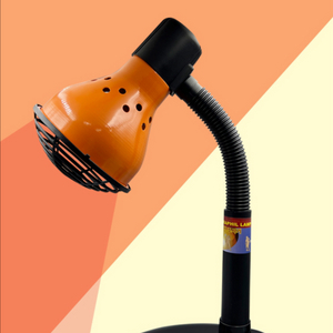 적외선조사기 강아지관절 쓸개골