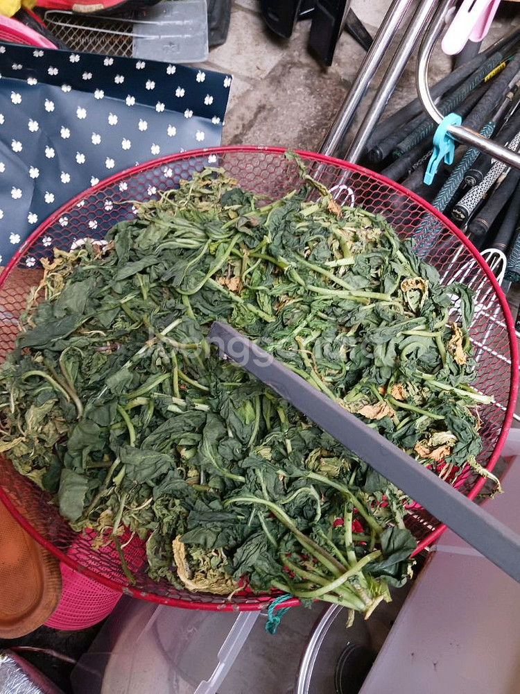 채반 3개 처분--0