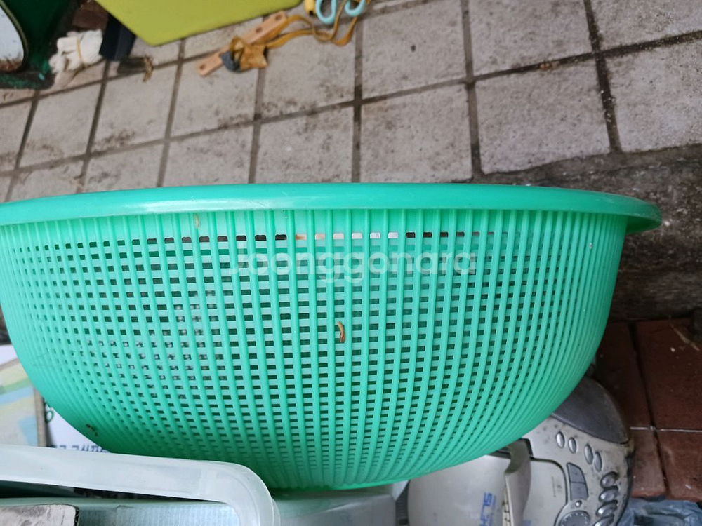 채반 3개 처분--1