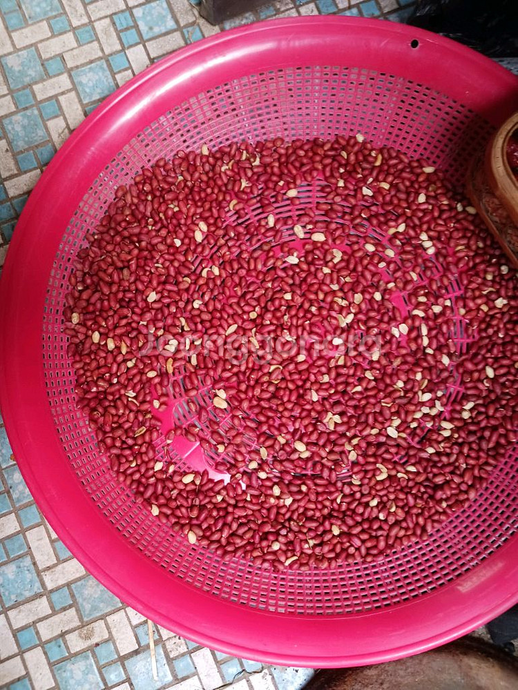 플라스틱 채반--1