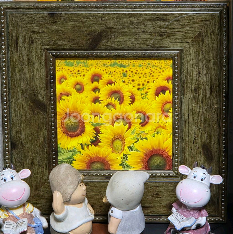 해바라기 그림 액자--0