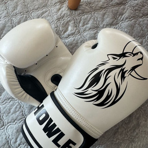급처 하울프 HOWLF 복싱 글러브 흰색 10온스