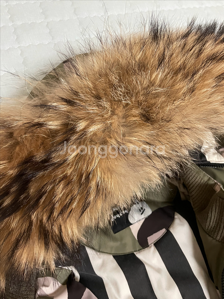 리미떼두두 XL--2